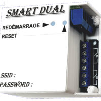 Module Dual WiFi