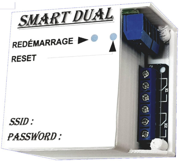 Module Dual WiFi